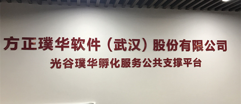 走出課堂，走進(jìn)企業(yè)—藍(lán)鷗武漢學(xué)子赴方正璞華參觀學(xué)習(xí)