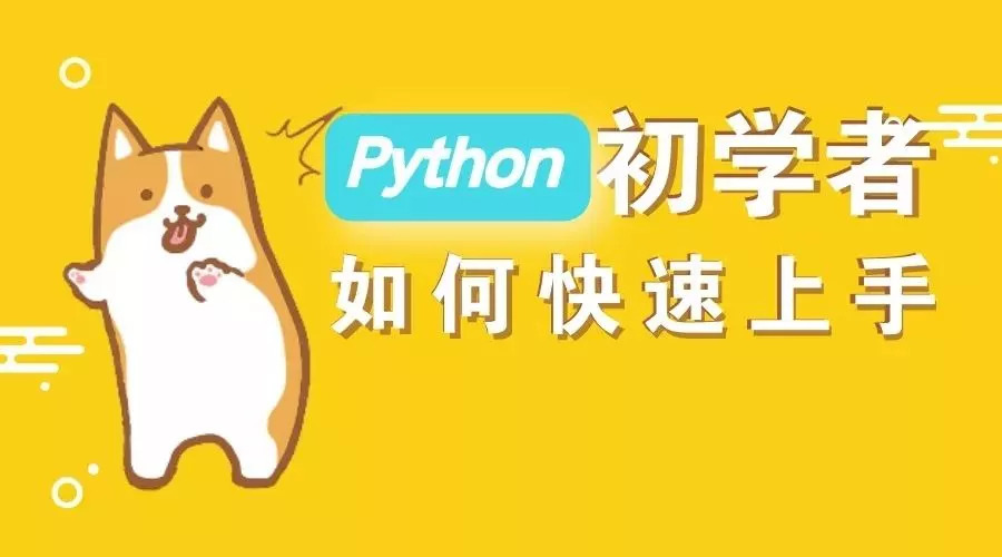  大家都在學的 Python，可以用來干什么？ 